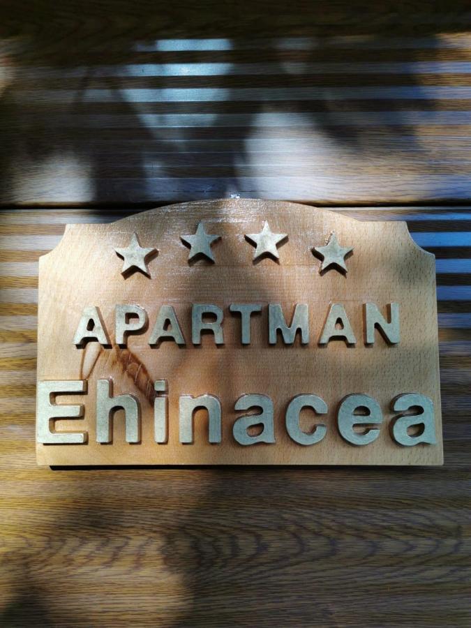 Ehinacea Διαμέρισμα Rtanj Εξωτερικό φωτογραφία