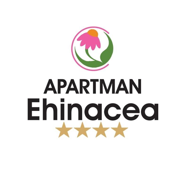 Ehinacea Διαμέρισμα Rtanj Εξωτερικό φωτογραφία