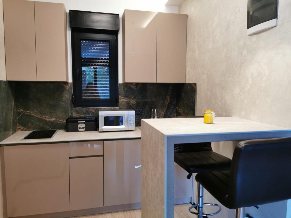 Ehinacea Διαμέρισμα Rtanj Εξωτερικό φωτογραφία